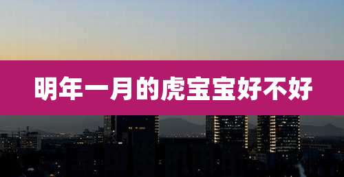 明年一月的虎宝宝好不好