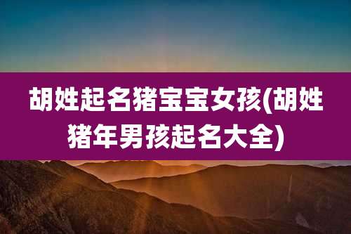 胡姓起名猪宝宝女孩(胡姓猪年男孩起名大全)