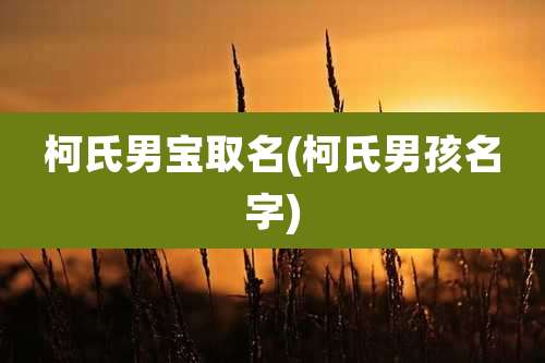 柯氏男宝取名(柯氏男孩名字)