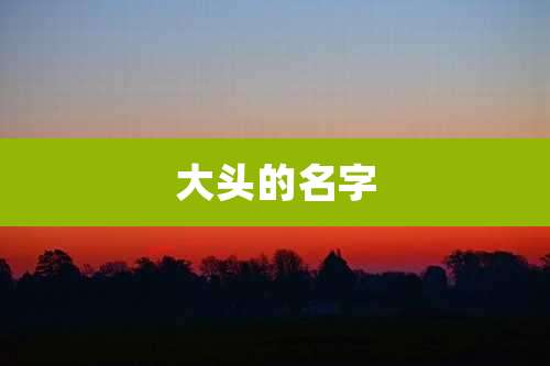 大头的名字
