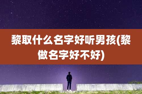 黎取什么名字好听男孩(黎做名字好不好)