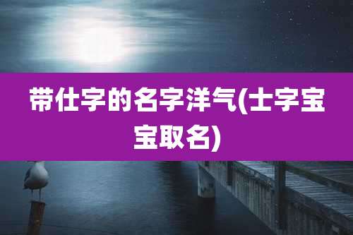 带仕字的名字洋气(士字宝宝取名)