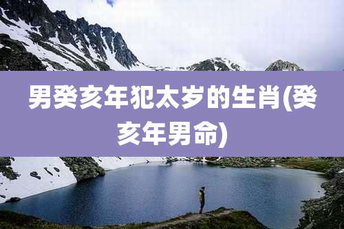 男癸亥年犯太岁的生肖(癸亥年男命)