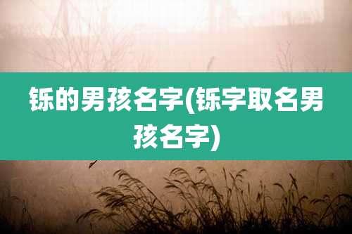 铄的男孩名字(铄字取名男孩名字)