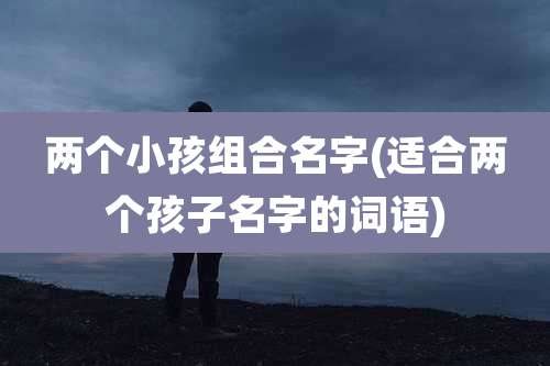 两个小孩组合名字(适合两个孩子名字的词语)