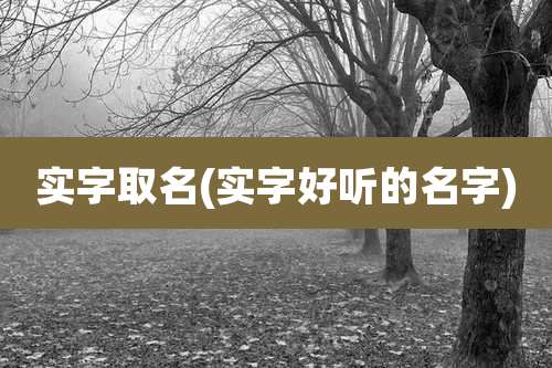 实字取名(实字好听的名字)