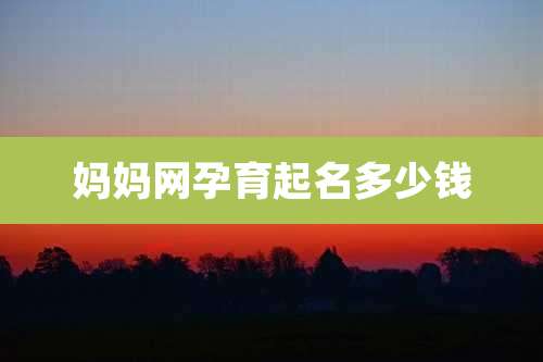 妈妈网孕育起名多少钱