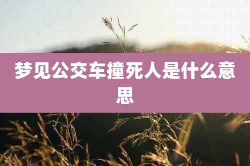 梦见公交车撞死人是什么意思