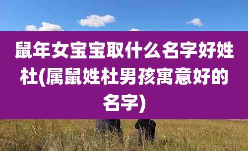 鼠年女宝宝取什么名字好姓杜(属鼠姓杜男孩寓意好的名字)