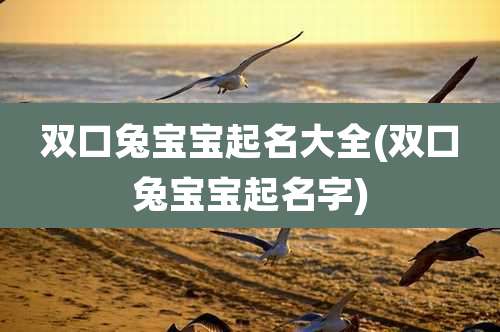 双口兔宝宝起名大全(双口兔宝宝起名字)