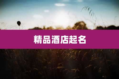 精品酒店起名