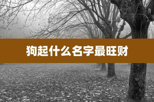 狗起什么名字最旺财