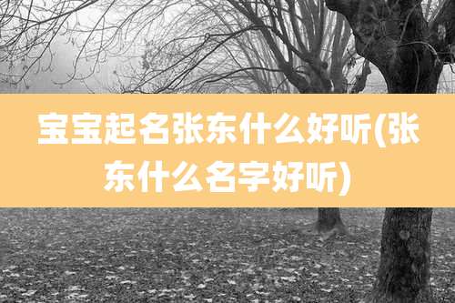 宝宝起名张东什么好听(张东什么名字好听)