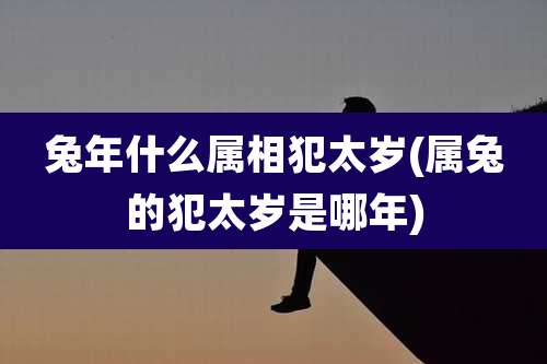 兔年什么属相犯太岁(属兔的犯太岁是哪年)