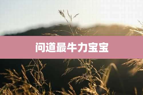 问道最牛力宝宝