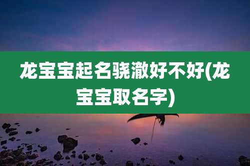 龙宝宝起名骁澈好不好(龙宝宝取名字)
