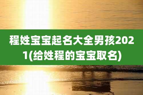 程姓宝宝起名大全男孩2021(给姓程的宝宝取名)