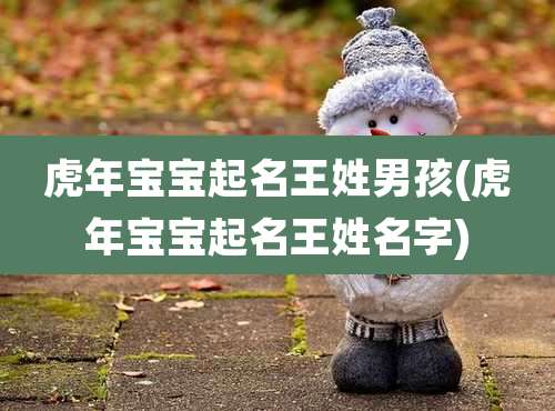 虎年宝宝起名王姓男孩(虎年宝宝起名王姓名字)