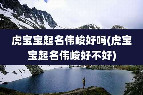 虎宝宝起名伟峻好吗(虎宝宝起名伟峻好不好)