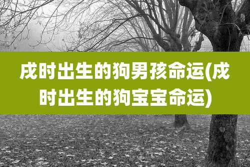 戌时出生的狗男孩命运(戍时出生的狗宝宝命运)