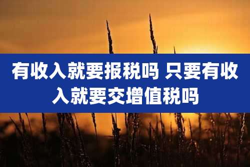 有收入就要报税吗 只要有收入就要交增值税吗
