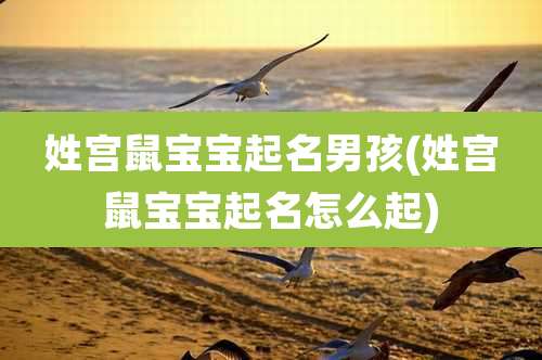姓宫鼠宝宝起名男孩(姓宫鼠宝宝起名怎么起)