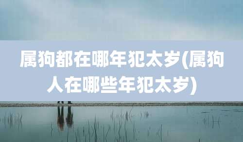 属狗都在哪年犯太岁(属狗人在哪些年犯太岁)