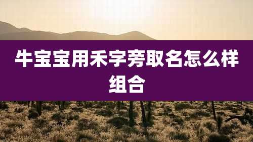 牛宝宝用禾字旁取名怎么样组合