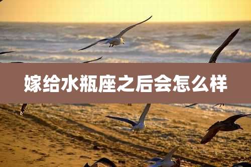 嫁给水瓶座之后会怎么样