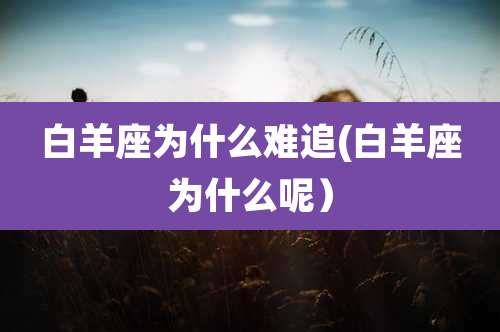 白羊座为什么难追(白羊座为什么呢)