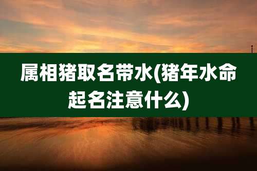 属相猪取名带水(猪年水命起名注意什么)