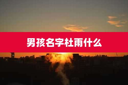 男孩名字杜雨什么