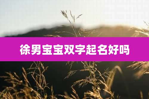 徐男宝宝双字起名好吗