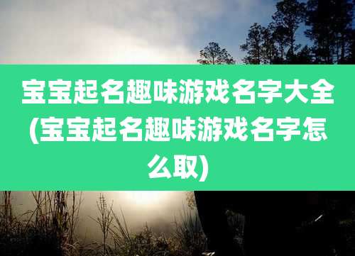 宝宝起名趣味游戏名字大全(宝宝起名趣味游戏名字怎么取)