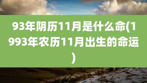 93年阴历11月是什么命(1993年农历11月出生的命运)