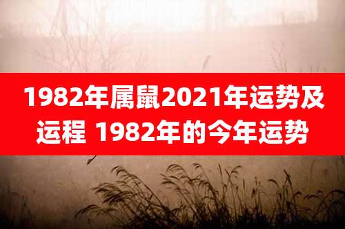 1982年属鼠2021年运势及运程 1982年的今年运势