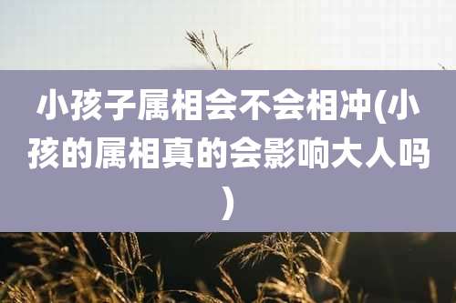 小孩子属相会不会相冲(小孩的属相真的会影响大人吗)