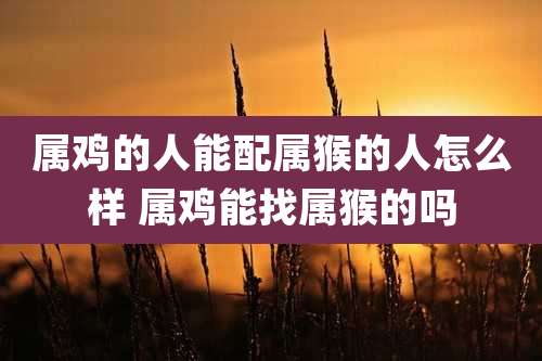 属鸡的人能配属猴的人怎么样 属鸡能找属猴的吗