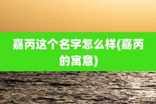 嘉芮这个名字怎么样(嘉芮的寓意)
