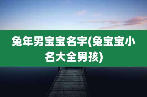 兔年男宝宝名字(兔宝宝小名大全男孩)