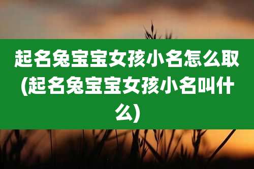 起名兔宝宝女孩小名怎么取(起名兔宝宝女孩小名叫什么)