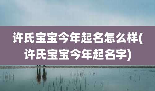 许氏宝宝今年起名怎么样(许氏宝宝今年起名字)