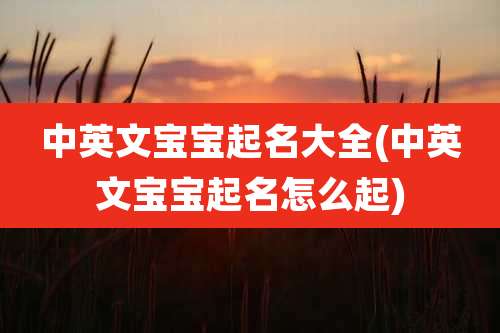 中英文宝宝起名大全(中英文宝宝起名怎么起)