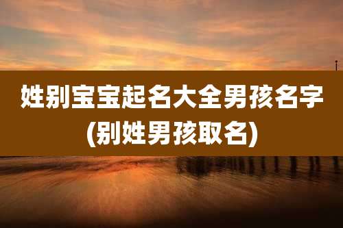 姓别宝宝起名大全男孩名字(别姓男孩取名)