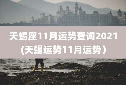 天蝎座11月运势查询2021(天蝎运势11月运势)