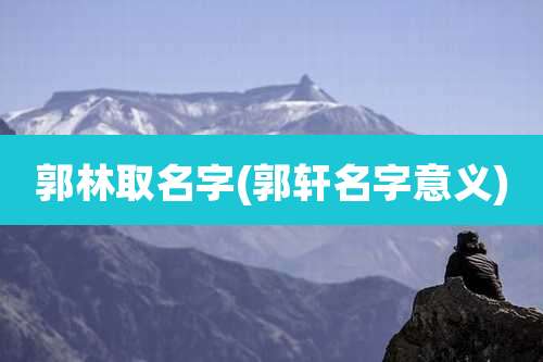 郭林取名字(郭轩名字意义)