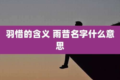 羽惜的含义 雨昔名字什么意思