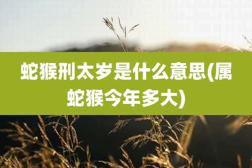 蛇猴刑太岁是什么意思(属蛇猴今年多大)