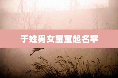 于姓男女宝宝起名字