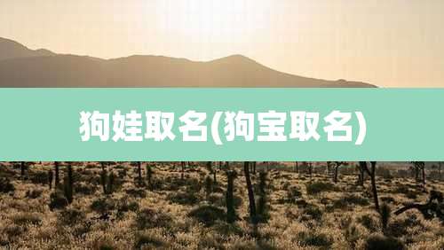 狗娃取名(狗宝取名)